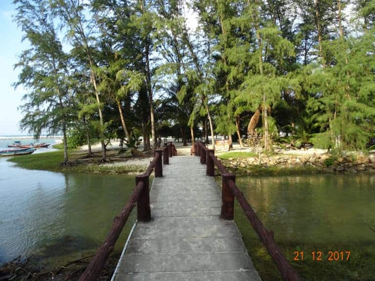 DSC03529