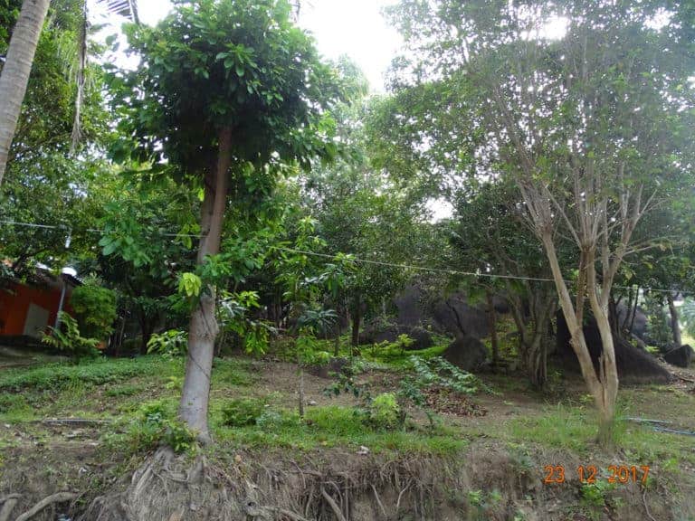 DSC03539
