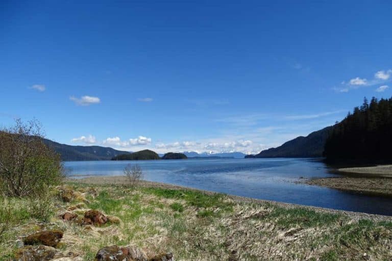 DSC09208
